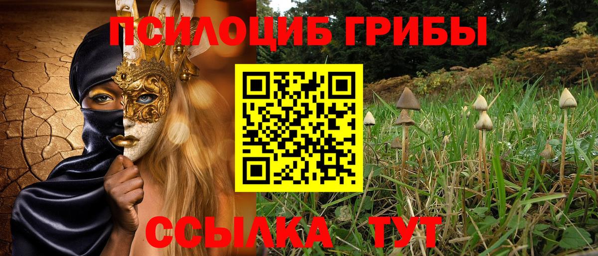 Воронеж  Галлюциногенные грибы Psilocybe  Вход с VPN 