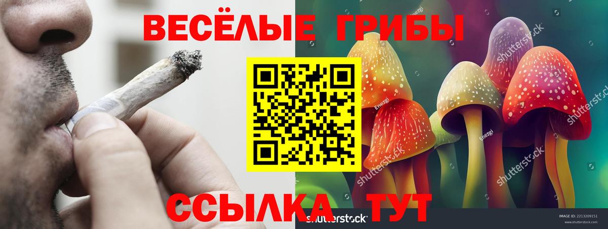Галлюциногенные грибы Cubensis Воронеж